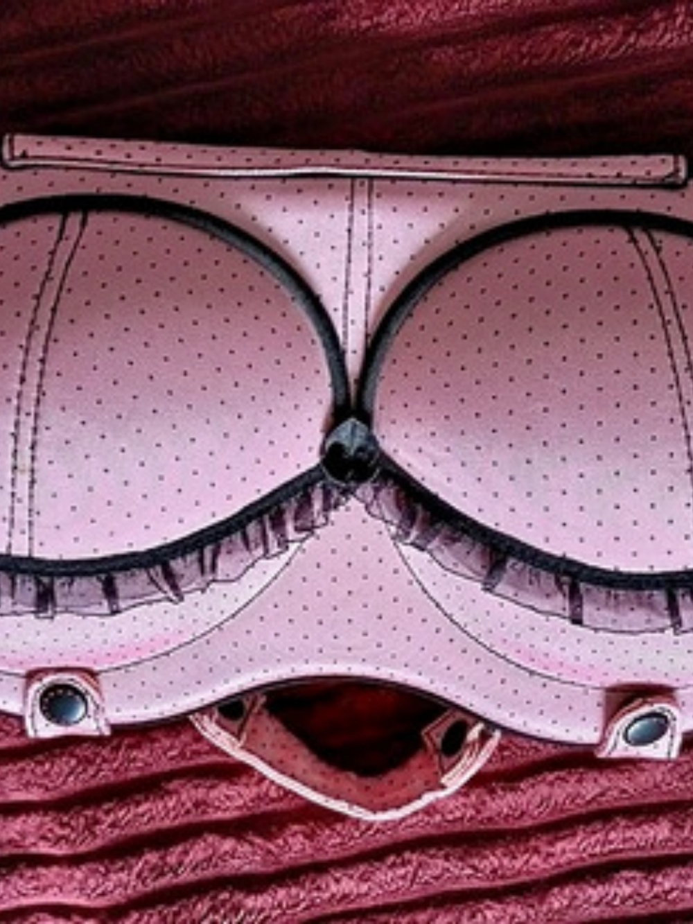 bral Cosmetic Case in Pink & Black
